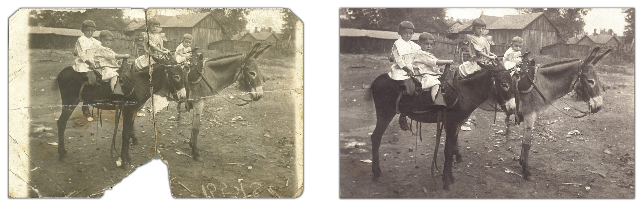 Restored Photograph of Kids on Burros